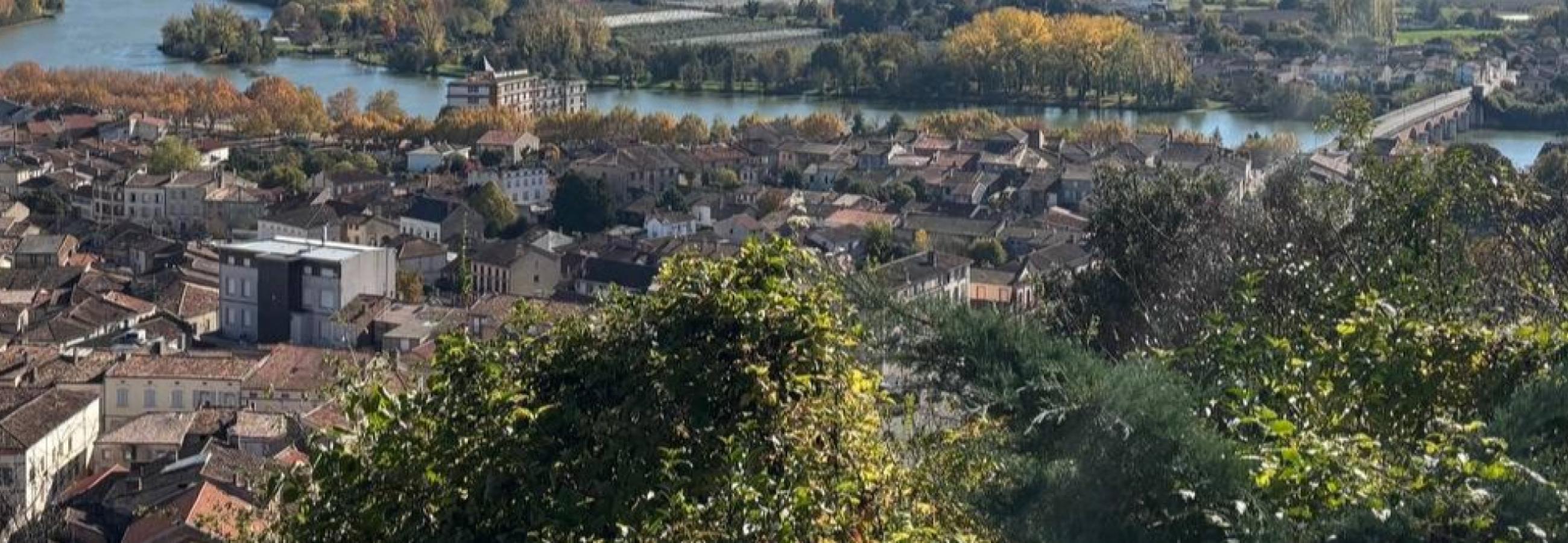 Bonjour